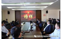 中共內蒙古冠世融資擔保有限責任公司支部委員會組織全體職工觀看專題片《榜樣3》