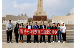 冠世公司黨支部開展 “清明祭英烈 永遠跟黨走”主題黨日活動